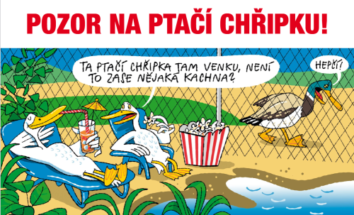 ptačí chřipka